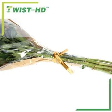 Dvojitý vodič Metallic Twist Tie