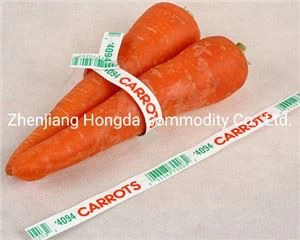 Twist-kravata Na Suché Byliny